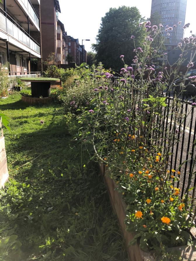 Photo from debmitchener(6)